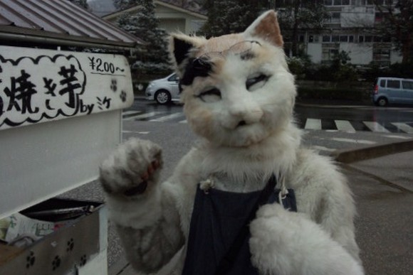 You're not seeing things, that's a cat selling roasted sweet