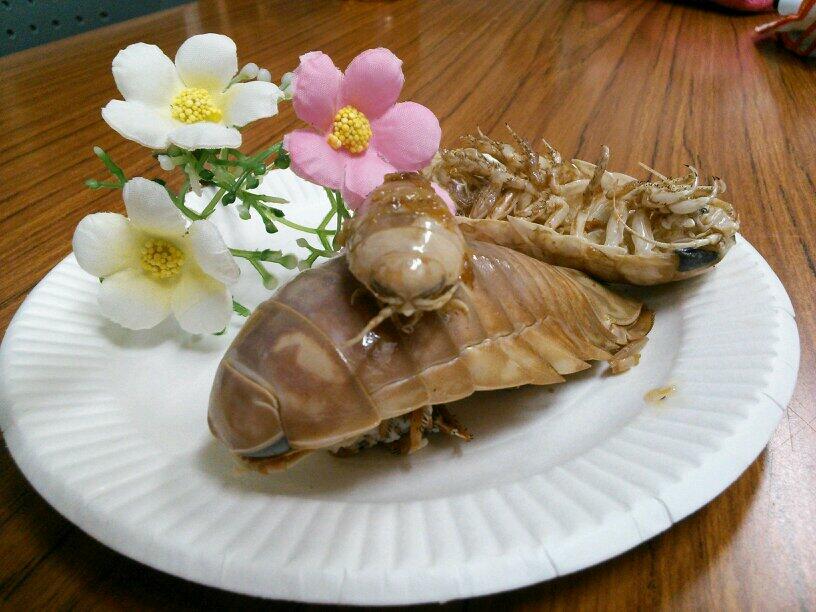 Dinner is served! Get your teeth into giant marine isopods tastes