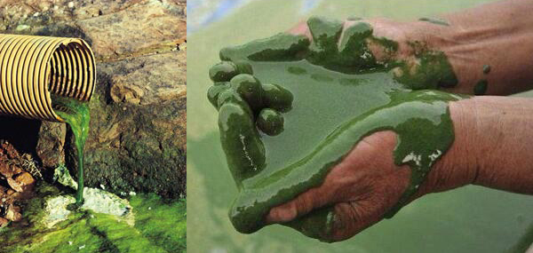 China’s polluted rivers can be surprisingly pretty, but might turn you into a mutant