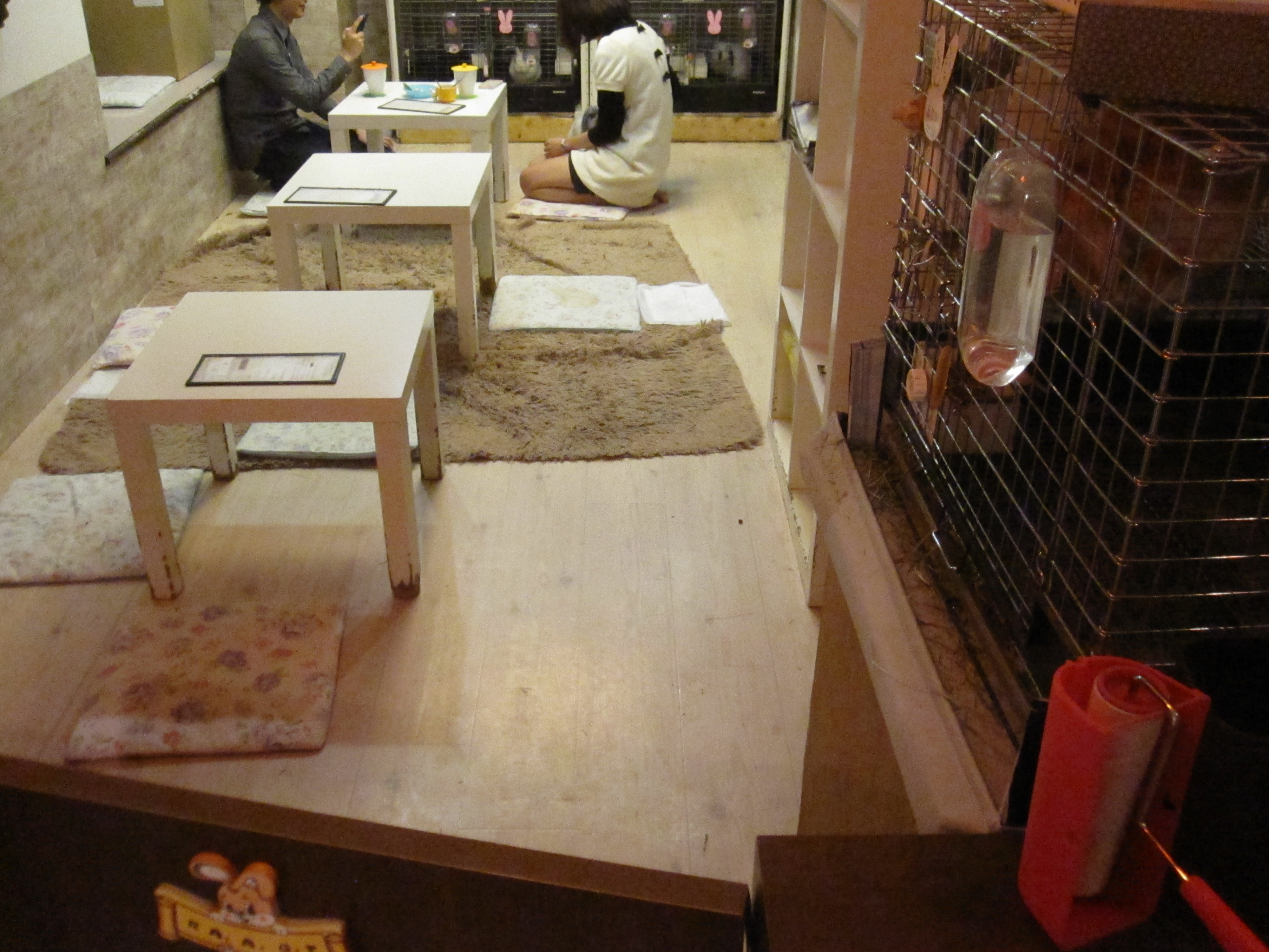 We visit Tokyo’s rabbit café to celebrate Easter in the cutest way ...