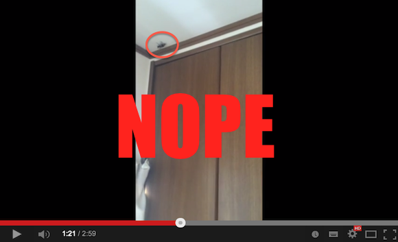 Fighter discovers Japanese giant hornet in his apartment, hilarity ensues 【Video】