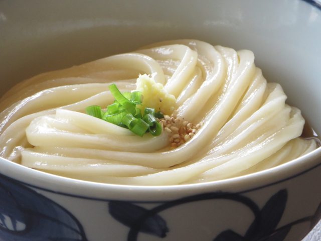 Kagawa’s “Udon Generator” begins pumping out the most delicious kilowatts you’ve ever tasted