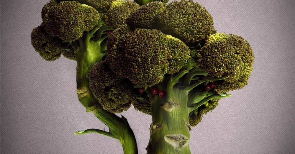 Broccoli bonsai and sweet sushi Japanese culture’s evolution abroad【Photos】 SoraNews24 Japan