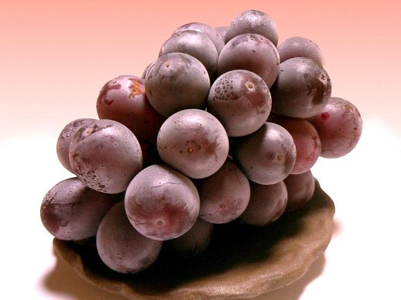 lucious grapes