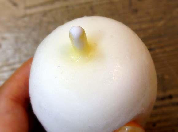 We get our hands on some “Booby Ice Cream” from Kochi Prefecture