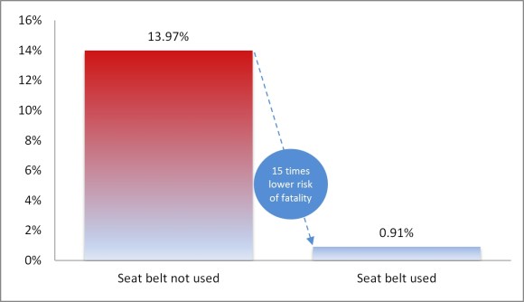 seat belt survey