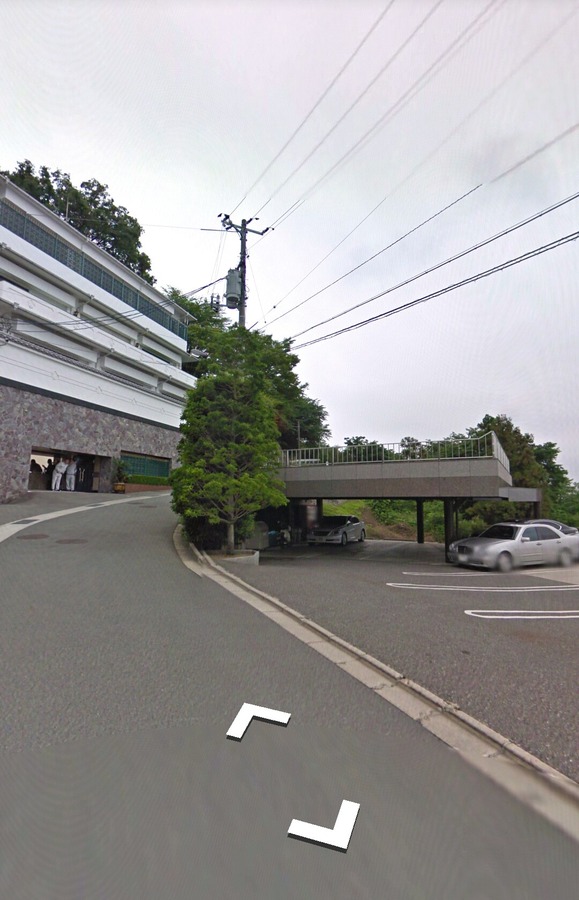 yakuza google street view4