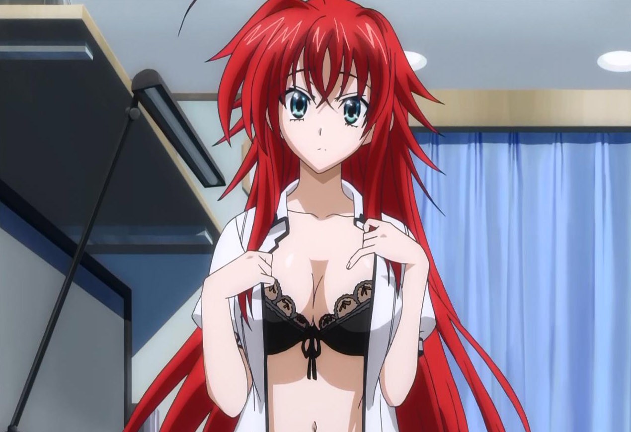 A sexy pure-blooded Devil, Rias is blessed with a beautiful face and body, ...