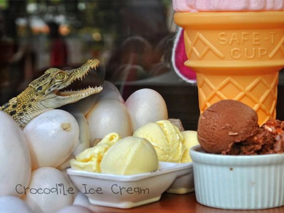 Crocodile ice cream: It won’t bite back!
