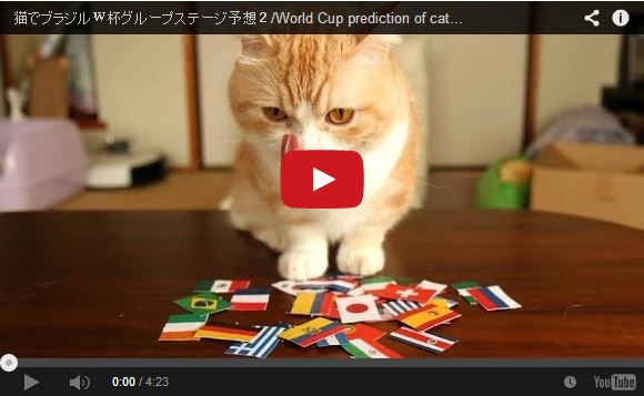 Can these Japanese kitties accurately predict the advancing teams of the World Cup?