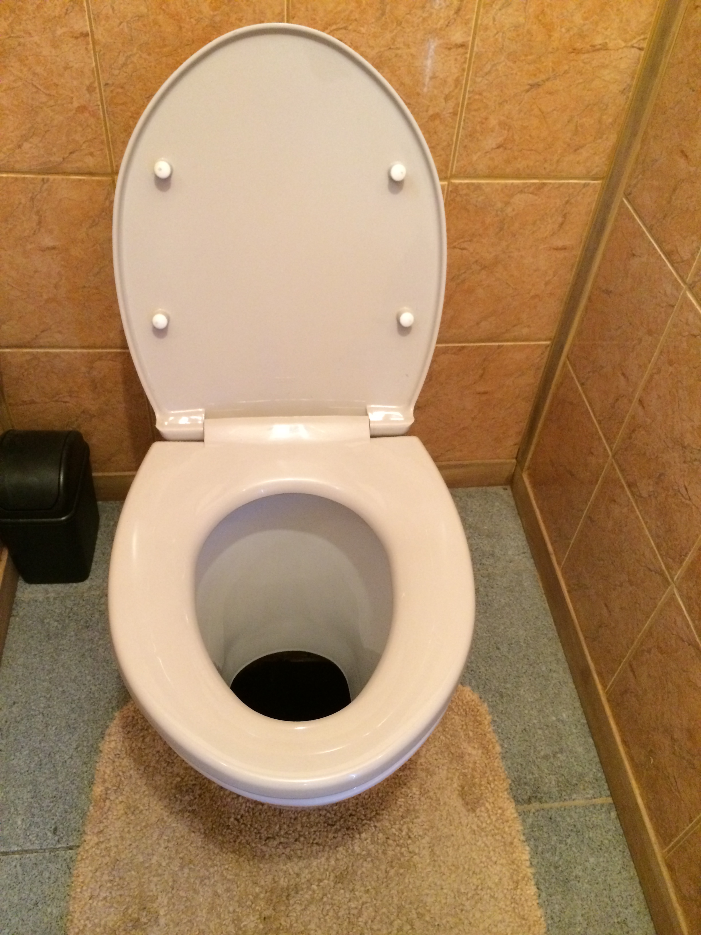 Japan’s pit toilets An indepth look SoraNews24 Japan News