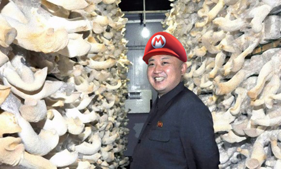 North Korea “invents” performance-enhancing drink from mushrooms, Nintendo lawyers remain silent