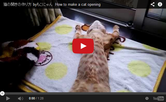 More than one way to skin a cat? Japanese YouTuber shows how to “open” a cat with belly rubs
