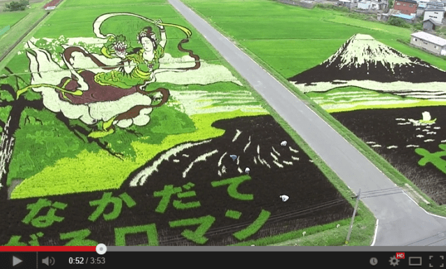 Tiny town in northern Japan creates gorgeous, gigantic artwork out of rice paddies 【Video】