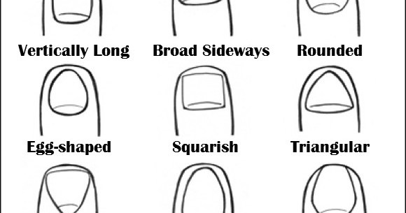 Nailed it! The shape of your nails may reveal the type of person you ...