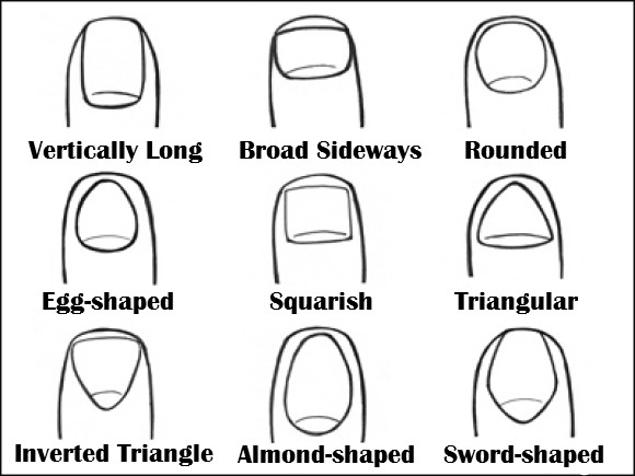 Nailed It The Shape Of Your Nails May Reveal The Type Of Person You Are SoraNews24 Japan News 