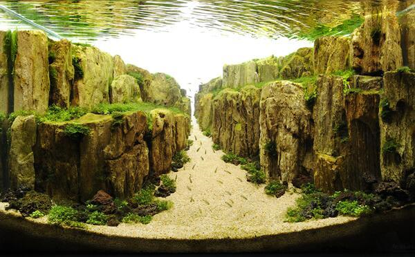 Amazing aquatic artwork transforms water into sky, aquariums into fantasy realms