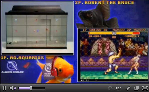 Pair of goldfish play Street Fighter II, instantly become world’s coolest pets