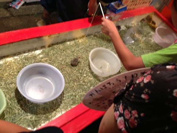 Animal rights groups unhappy as “hamster fishing” game spotted at summer festival