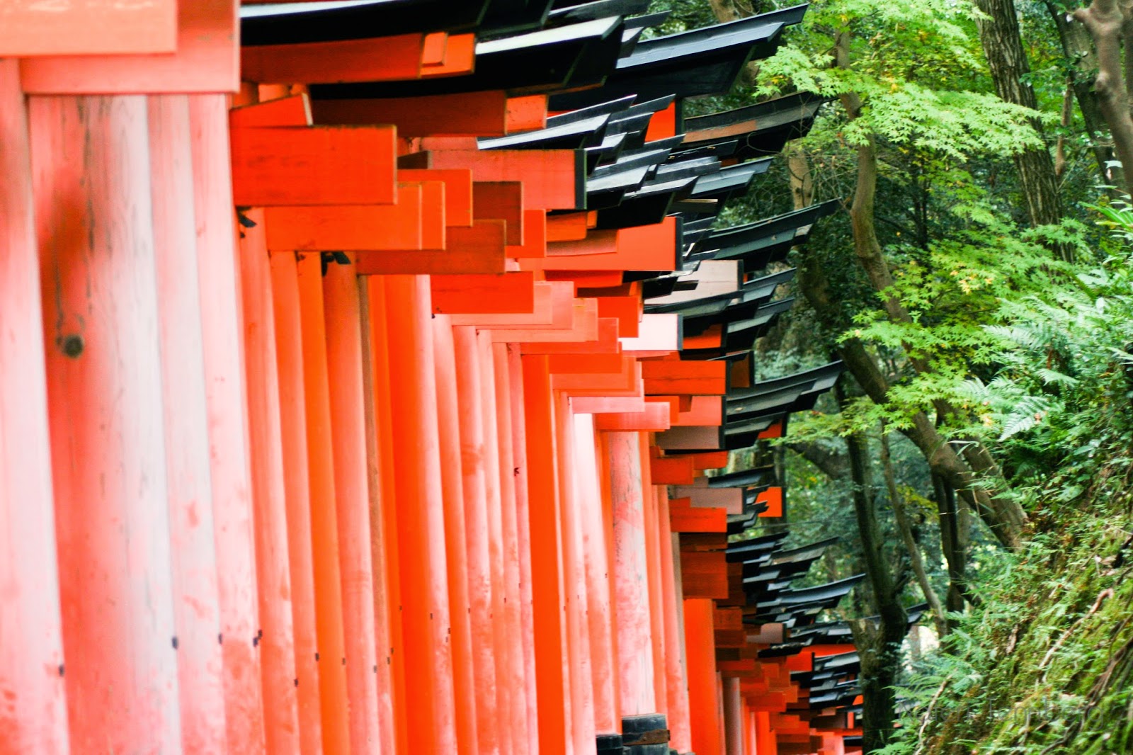 Kateri Tennberg Fushimi Inari-Taisha Torii