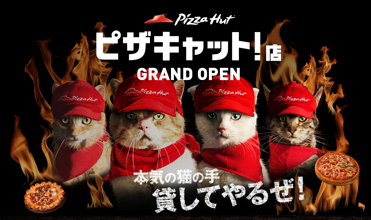 東京ねこねこさん専用 Pizza Hut in Japan is now run by four bossy felines in new