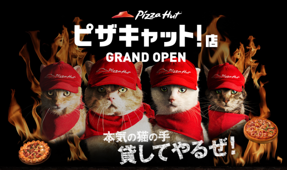 Pizza Hut Japan Pizza Cat shop franchise