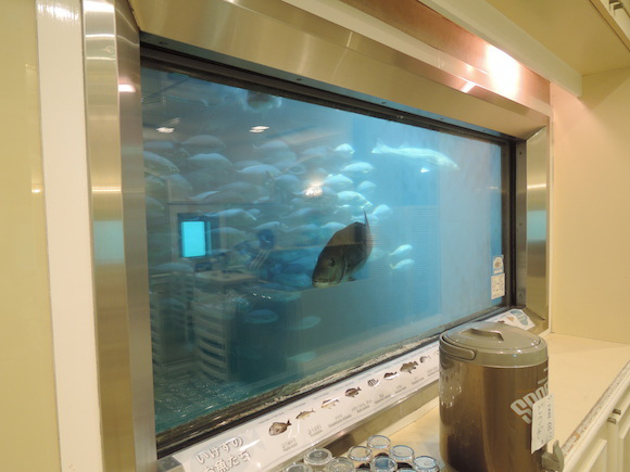 We check out the view, eat amazingly delicious squid at Japan’s first underwater restaurant