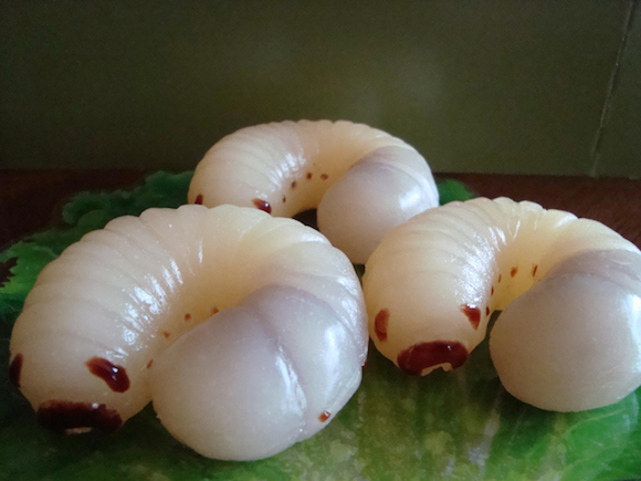 A tiny coffee stand in Japan is selling some of the most lifelike gummy bugs we’ve ever seen