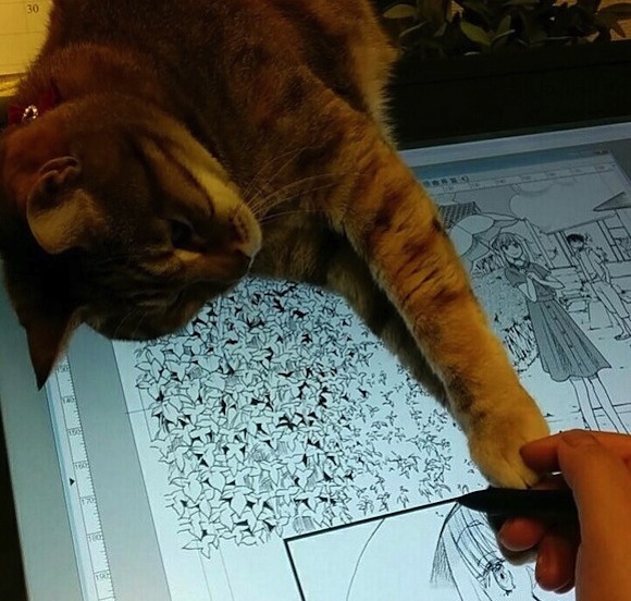 Japanese artist creates manga inspired by her cats, gets bothered by them daily【Photos】