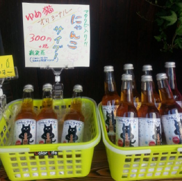 Thirsty? How about some cider made with Japanese cat nip?