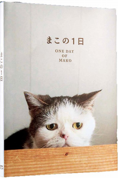 Mako photo book and stationery6