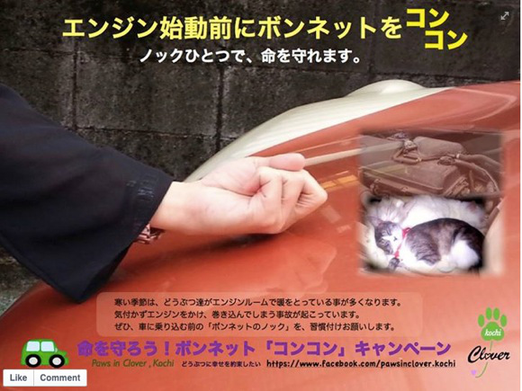 【PSA】Knock knock! Check your car, save a cat