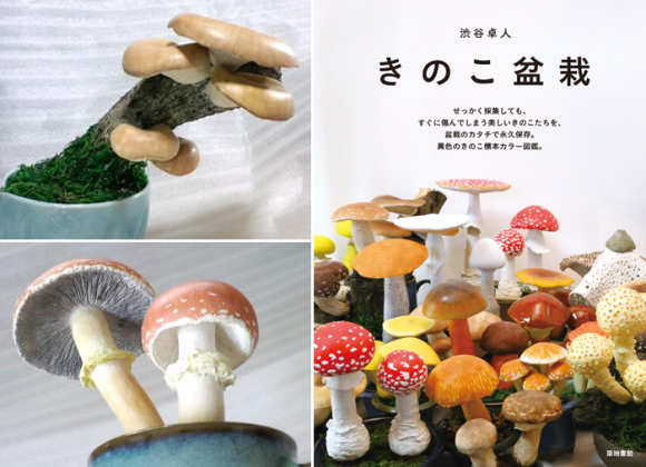 mushroom gachapon