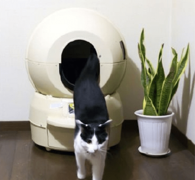 Cat Robo: The automated cat toilet that frees you from ever having to sift through kitty litter