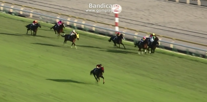 Japan Rasing Rising star of Japanese horse racing is as ridiculously fast as he is ...