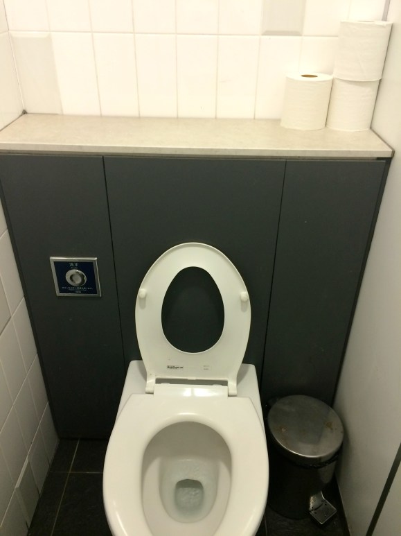 child's toilet seat