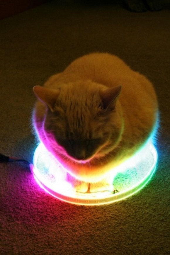 led strip cat circle - Imgur
