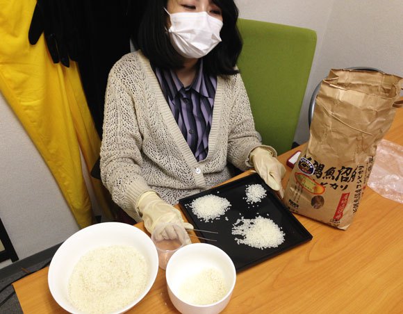 2014.11.14 rice 11
