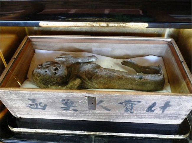 pijn doen Van heilig From mermaids to monsters: The taxidermy mummies on show in Japan【Photos】 |  SoraNews24 -Japan News-