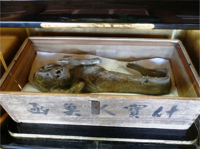 From mermaids to monsters: The taxidermy mummies on show in Japan【Photos】