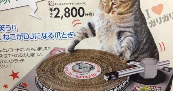 Transform Your Cat Into Dj Scratchalot This Holiday Season Soranews24 Japan News
