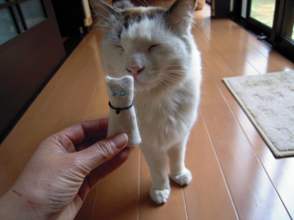 Pawsitively ameowzing! Japan’s crazy cat people create cute crafts with kitty fur