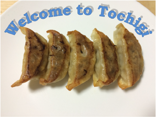 3 unusual gyoza creations from Tochigi Prefecture, the Japanese capital of dumplings 【Taste Test】