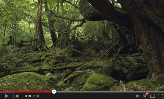 How long does Kagoshima need to convince us to visit? With this video, just two minutes