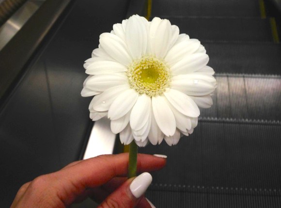 Alice and gerbera flower, The Moving Garden, Lee Mingwei, Tokyo Metro subway