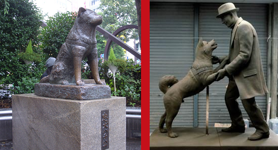 hachiko-japan-s-most-loyal-dog-finally-reunited-with-owner-in