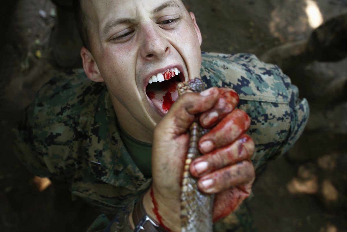 thai-navy-sailors-are-trained-to-survive-in-the-tropical-jungle-in-a-joint-military-exercise-in-2013-they-taught-us-marines-to-drink-cobra-blood