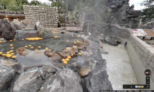 Six outdoor Japanese hot springs you can visit right now (with Google Street View)