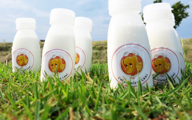 After a long dog day, treat your pet to a glass of fresh goat’s milk from this Japanese dairy