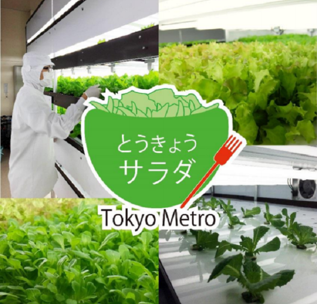 Tokyo Metro has a new request, “Eat our vegetables!”